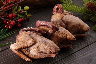 Превью Вяхирь осенний дикий