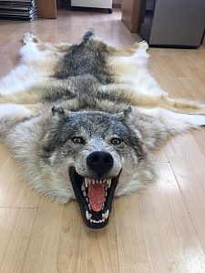 Превью Шкура волка (Пермьский)