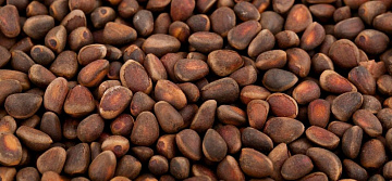 Фото Ядро кедрового ореха (неочищенное)