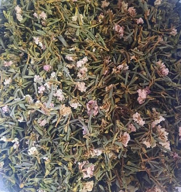 Фото Саган Дайля, Рододендрон Адамса, 20 гр. с цветками