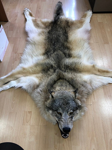 Превью Шкура волка (Пермьский)