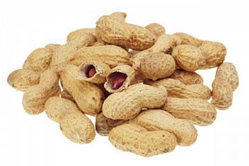 Фото Арахис неочищенный (сырой)
